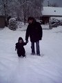 Dec 2005 (17)